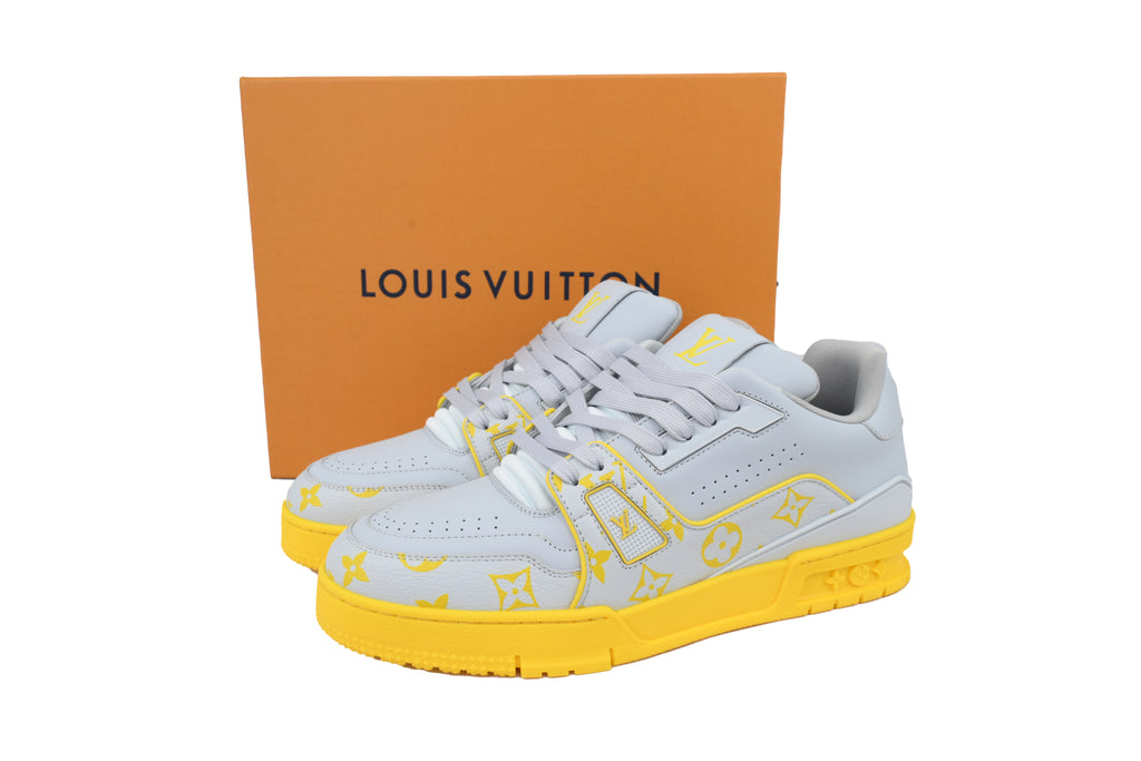 Louis Vuitton Trainer Grey Color Printing
