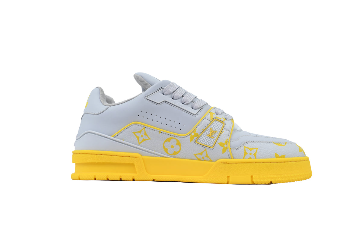 Louis Vuitton Trainer Grey Color Printing